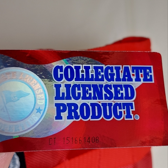 Ohio State Tote Bag - Picture 15 of 16